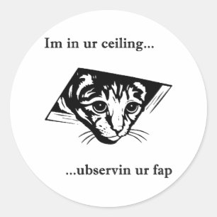 Sticker Rond Plafond Cat ubservin u...