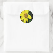 Sticker Rond Plaine de tournesol Maximilian (Sac)