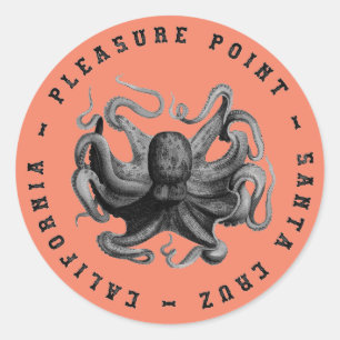 Sticker Rond Plaisir Point, Père Noël Cruz Octopus Classic Roun