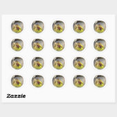 Sticker Rond planétarium borb (Feuille)