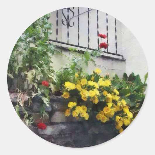 Sticker Rond Planeur Avec Cactus À Fleur Jaune (Devant)