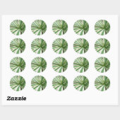 Sticker Rond Plante Agave Vert et blanc rayé (Feuille)