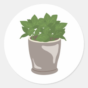 Sticker Rond Plante Basil