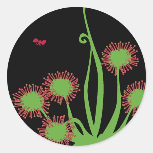 Sticker Rond Plante Carnivore Sundew (Devant)