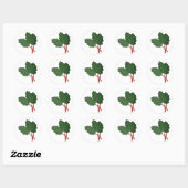 Sticker Rond Plante Rhubarb (Feuille)