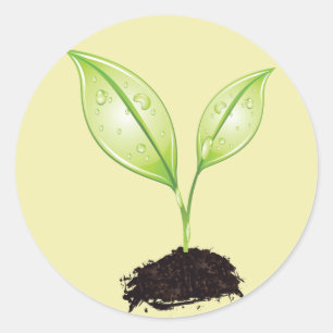 Sticker Rond Plante ~ Semis Terre verte Feuilles et semences ra