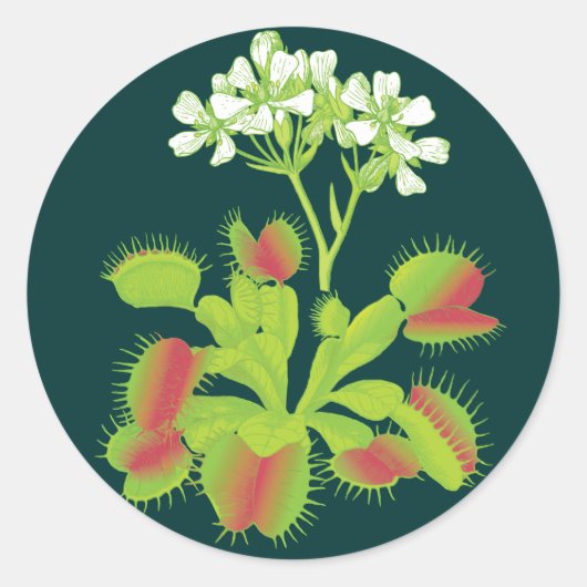 Sticker Rond Plante Vénus Flytrap (Devant)