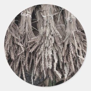 Sticker Rond Plantes séchés pour la décoration