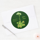 Sticker Rond Plaque florale Vénus Flytrap (Enveloppe)