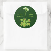 Sticker Rond Plaque florale Vénus Flytrap (Sac)