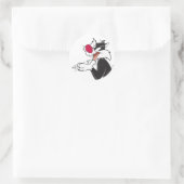 Sticker Rond Plaques de frottement SYLVESTER™ (Sac)