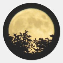 Pleine lune avec branches d'arbres devant
