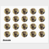 Sticker Rond Plott Hound (Feuille)