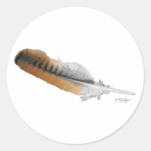 Sticker Rond plume de Buse à queue rousse