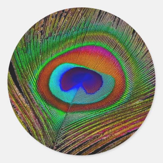Sticker Rond Plume de paon cuivré vibrant (Devant)