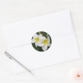 Sticker Rond Plumeria Blossom (Enveloppe)