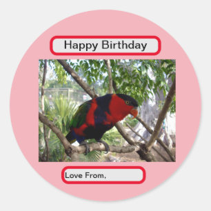 Sticker Rond Plumes arc-en-ciel : Joli Lorikeet australien,