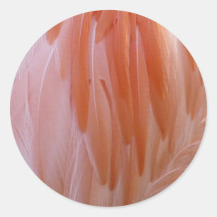 Sticker Rond Plumes de flamingo dans des nuances de rose