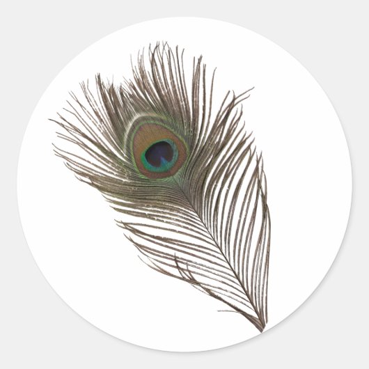 Sticker Rond Plumes de paon (Devant)