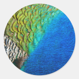 Sticker Rond Plumes de paon IV Nature abstraite colorée