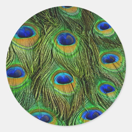 Sticker Rond Plumes de paon magnifiques (Devant)
