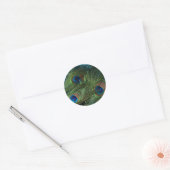 Sticker Rond Plumes de paon vert (Enveloppe)