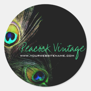 Sticker Rond Plumes de paon vintage colorées photo élégante