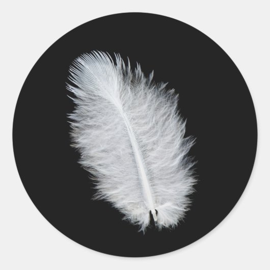 Sticker Rond Plumes d'oiseau blanc (Devant)