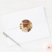 Sticker Rond Plunder Party ! (Enveloppe)