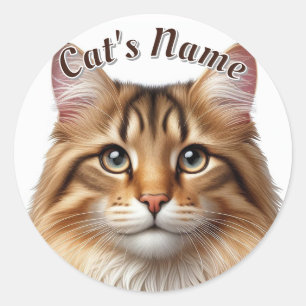 Sticker Rond Plutôt Brown Tabby Chat Longhair ・ Personnalisé