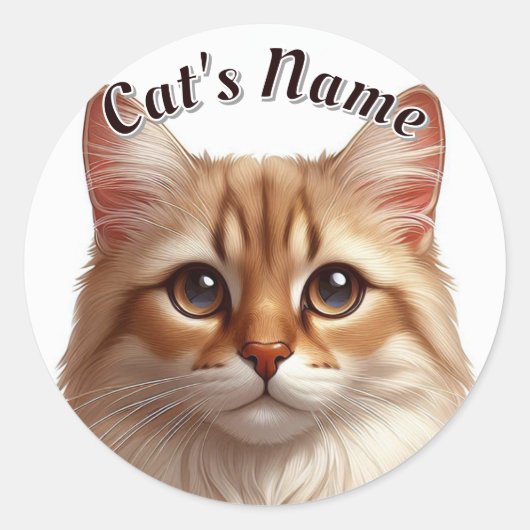 Sticker Rond Plutôt Brown Tabby Chat Longhair ・ Personnalisé (Devant)