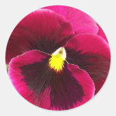 Sticker Rond Plutôt Purple Pansy Floral (Devant)