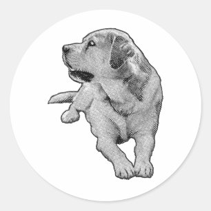 Sticker Rond Pocket Daydream, Retriever