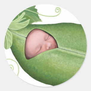 Sticker Rond Pod Baby