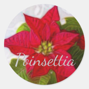 Sticker Rond Poinsettia
