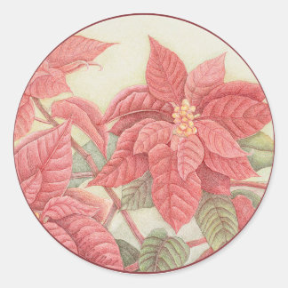 Sticker Rond Poinsettia