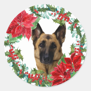 Sticker Rond Poinsettia berger allemand chien de Noël couronne