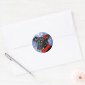 Sticker Rond Poinsettia Daphne (Enveloppe)