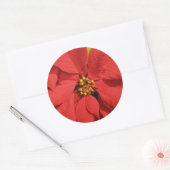 Sticker Rond Poinsettia rouge (Enveloppe)