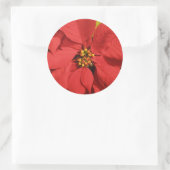 Sticker Rond Poinsettia rouge (Sac)