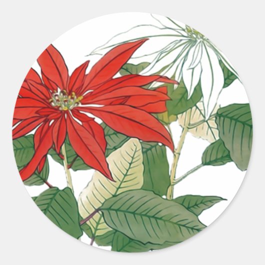 Sticker rond Poinsettias rouge et blanc (Devant)