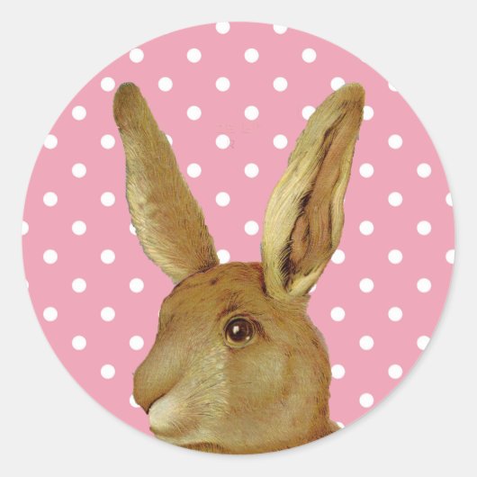 Sticker Rond Point de lapin et de polka rose (Devant)