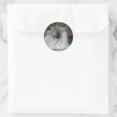 Sticker Rond Point Torti de l'Himalaya (Sac)