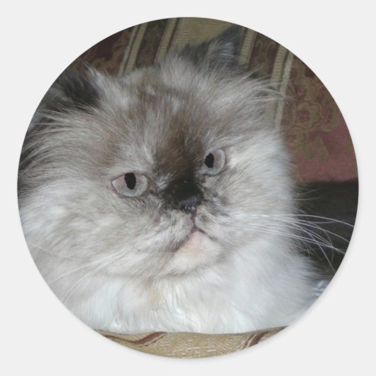 Sticker Rond Point Torti de l'Himalaya (Devant)