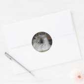 Sticker Rond Point Torti de l'Himalaya (Enveloppe)