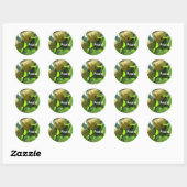 Sticker Rond Poires (Feuille)