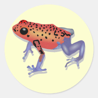 Sticker Rond Poison grenouille