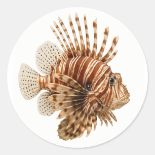 Sticker Rond Poisson