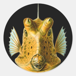 Sticker Rond Poisson à longue corne