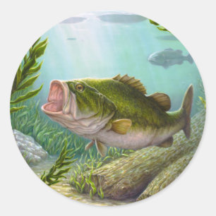 Sticker Rond Poisson basse